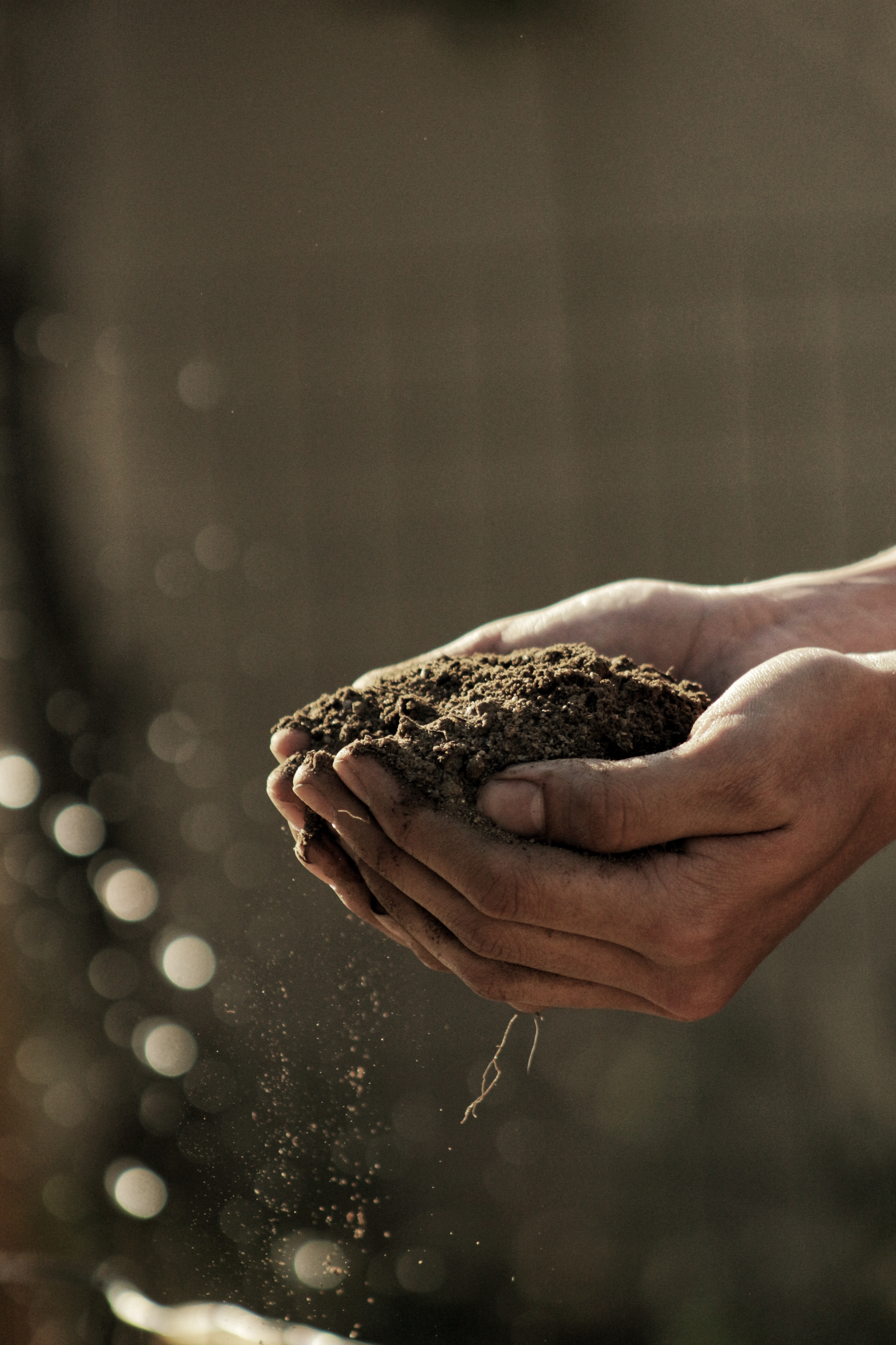 Soil held in hands