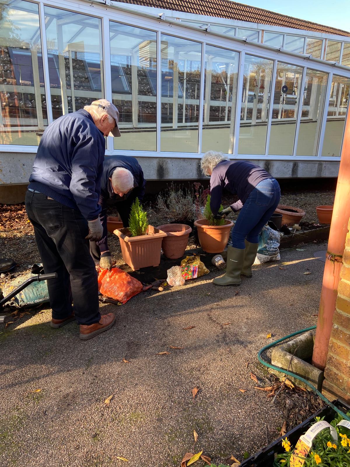 2024-11-13 at 09.50.04 team at work 3 Volunteers planting in. pots