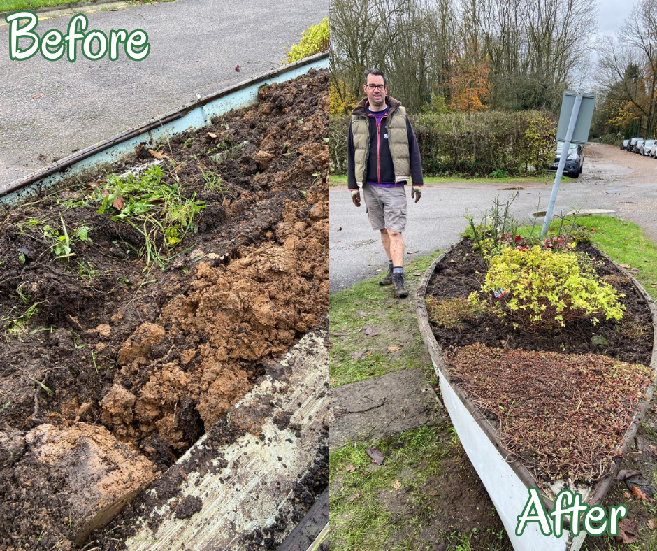 Before and After boat Chipstead Lake 27th Nov Before and after images of boat planter, going from bare soil to growing plants.