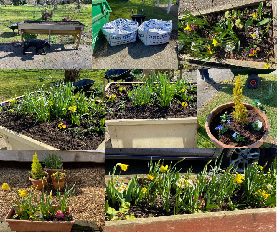 Chipstead Lake planting 19th March Colourful flowers in planters