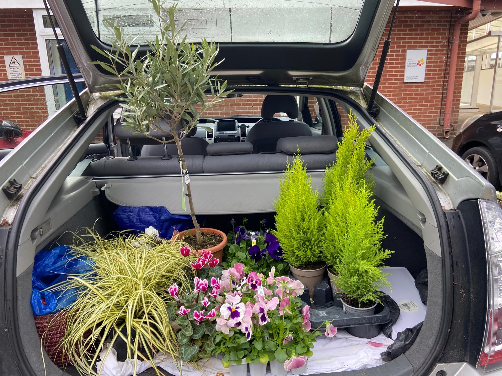 Planter with greenery next to lawns